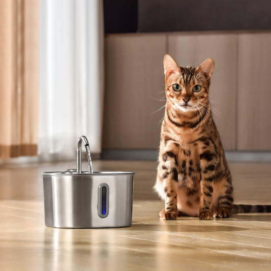 Infosys Limit™ - 2.2L Fountain 2–month Kit