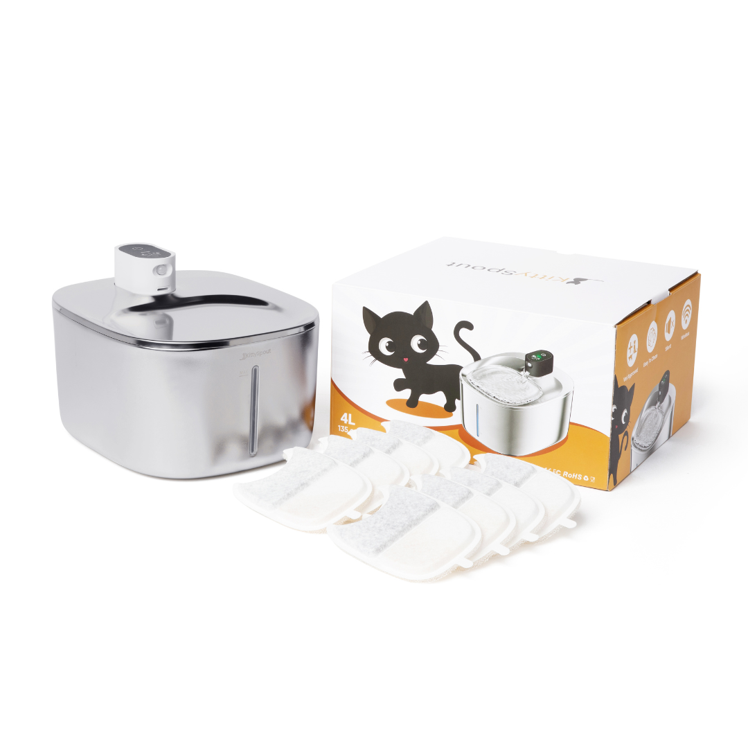 Infosys Limit™ - Wireless Fountain 2–month Kit