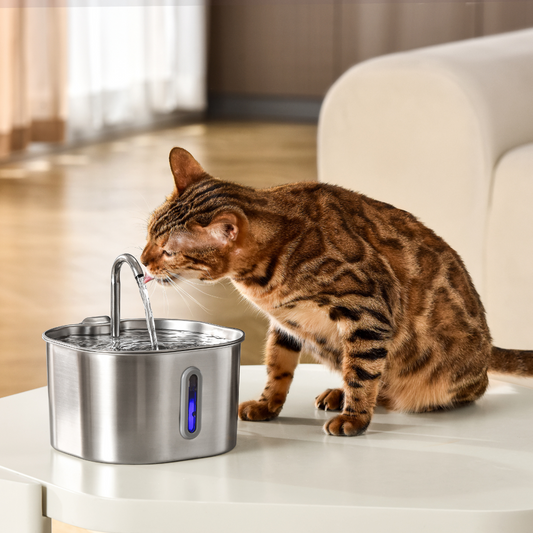 Infosys Limit™  - 2.2L Fountain 2–month Kit