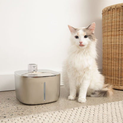 Infosys Limit™  - Wireless Fountain