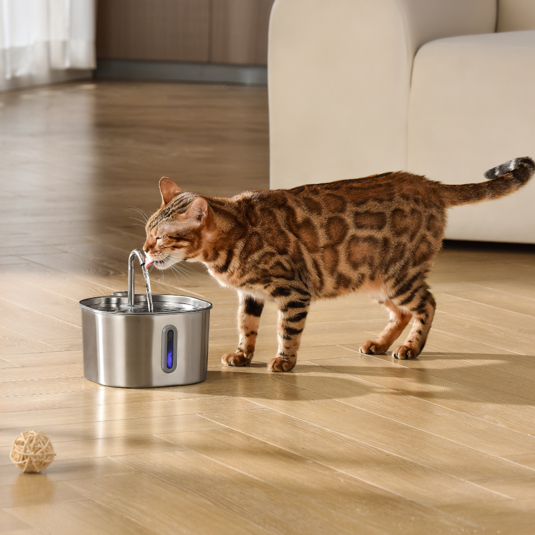 Infosys Limit™  - 2.2L Fountain 2–month Kit