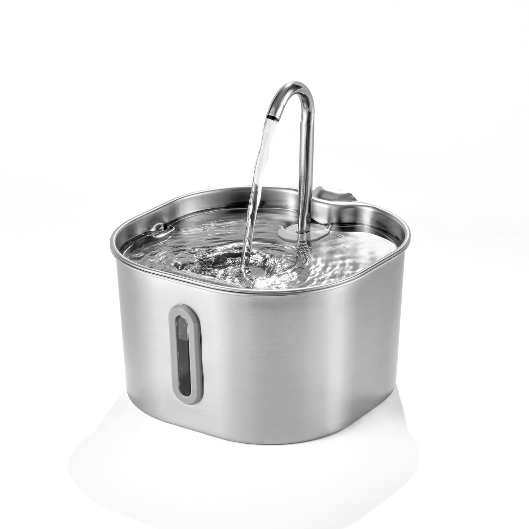 Infosys Limit™  - 2.2L Fountain 2–month Kit