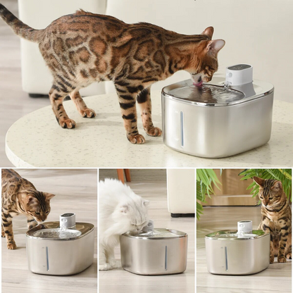 Infosys Limit™  - Wireless Fountain