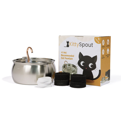 Infosys Limit™  - Health & Happiness Cat Kit