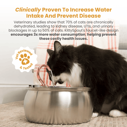 Infosys Limit™  - Health & Happiness Cat Kit