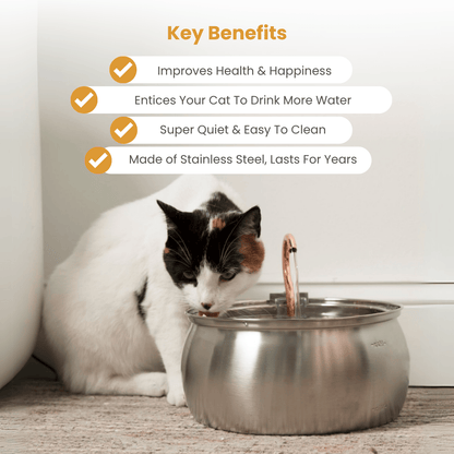 Infosys Limit™  - Health & Happiness Cat Kit