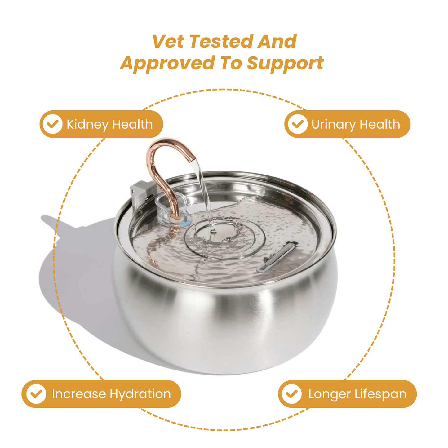 Infosys Limit™  - Health & Happiness Cat Kit
