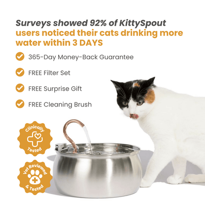Infosys Limit™  - Health & Happiness Cat Kit