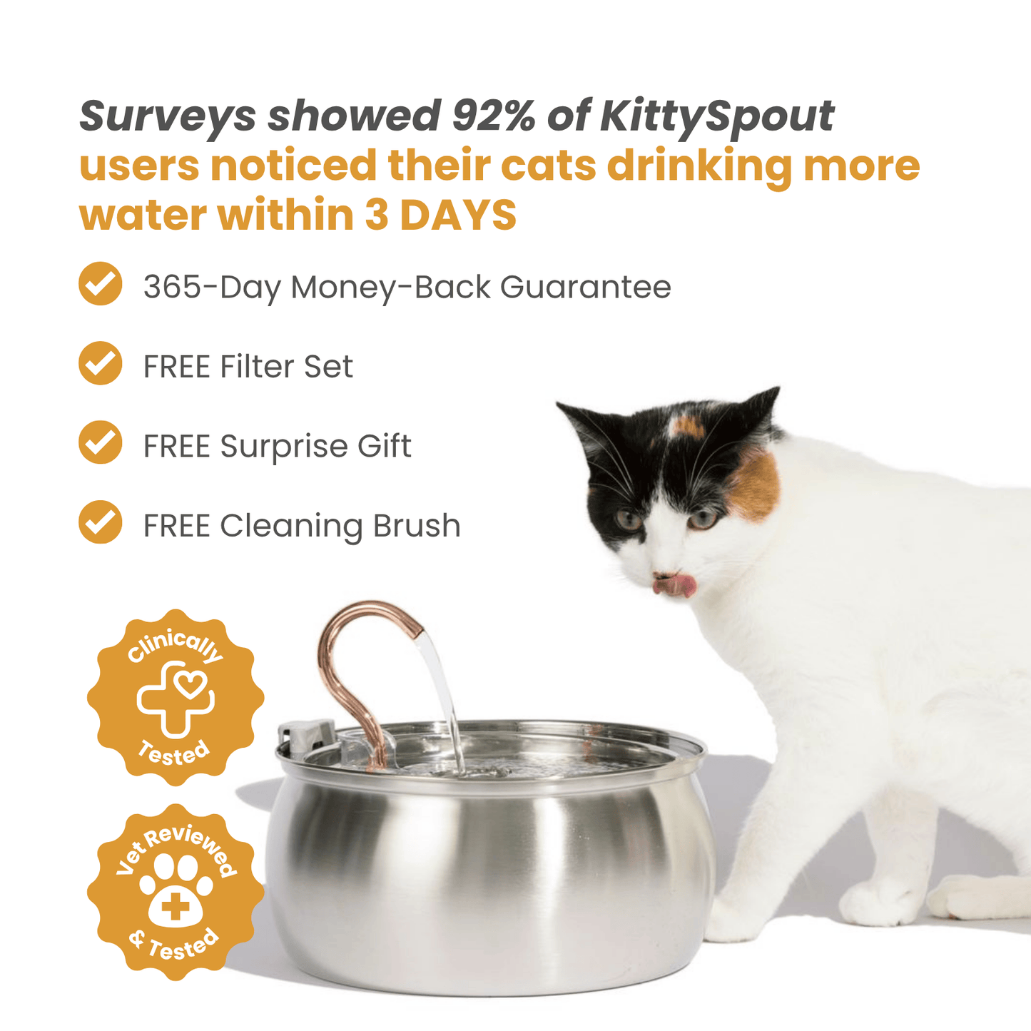 Infosys Limit™  - Health & Happiness Cat Kit