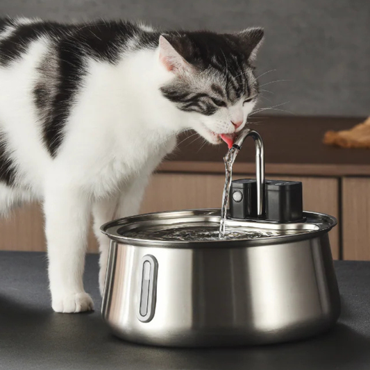 Infosys Limit™  - Wireless Fountain 2.0