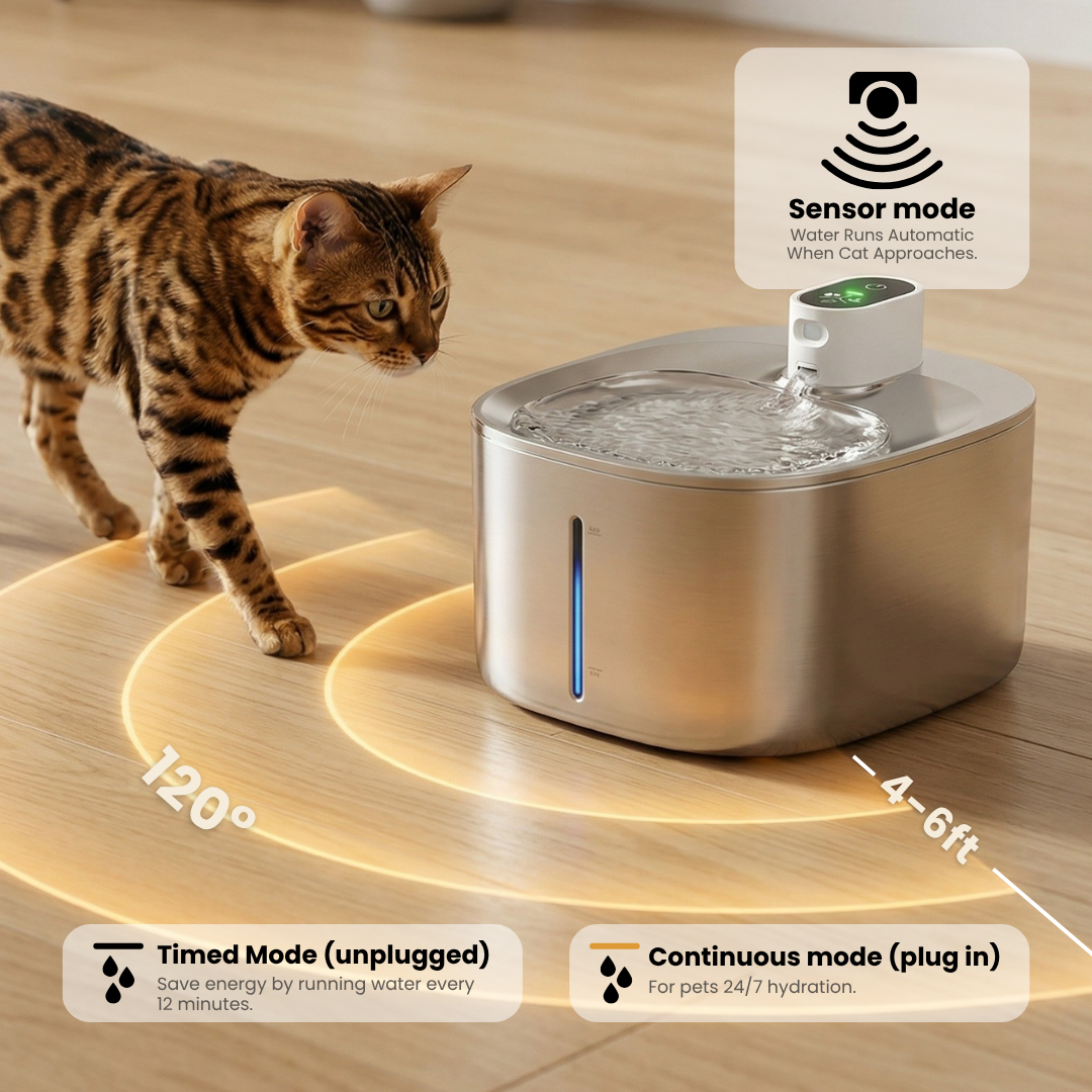 Infosys Limit™ - Wireless Fountain