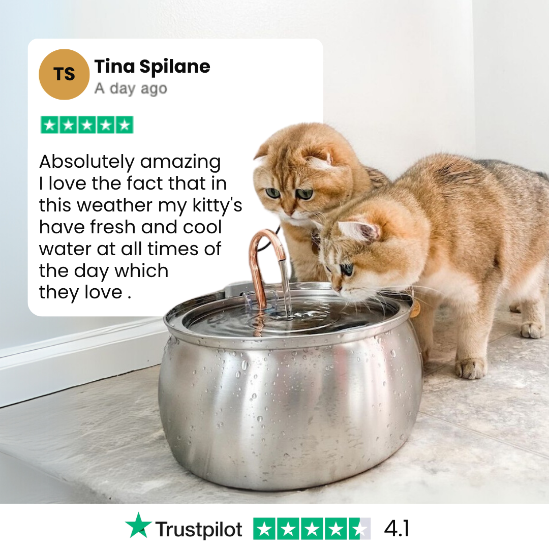 Infosys Limit™  - Health & Happiness Cat Kit