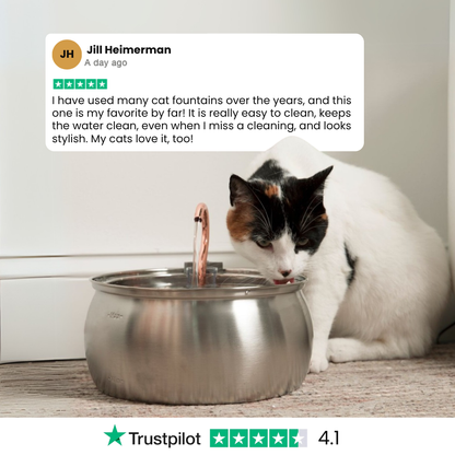 Infosys Limit™  - Health & Happiness Cat Kit