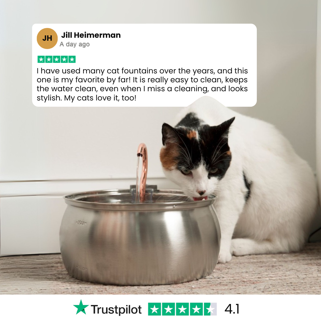 Infosys Limit™  - Health & Happiness Cat Kit
