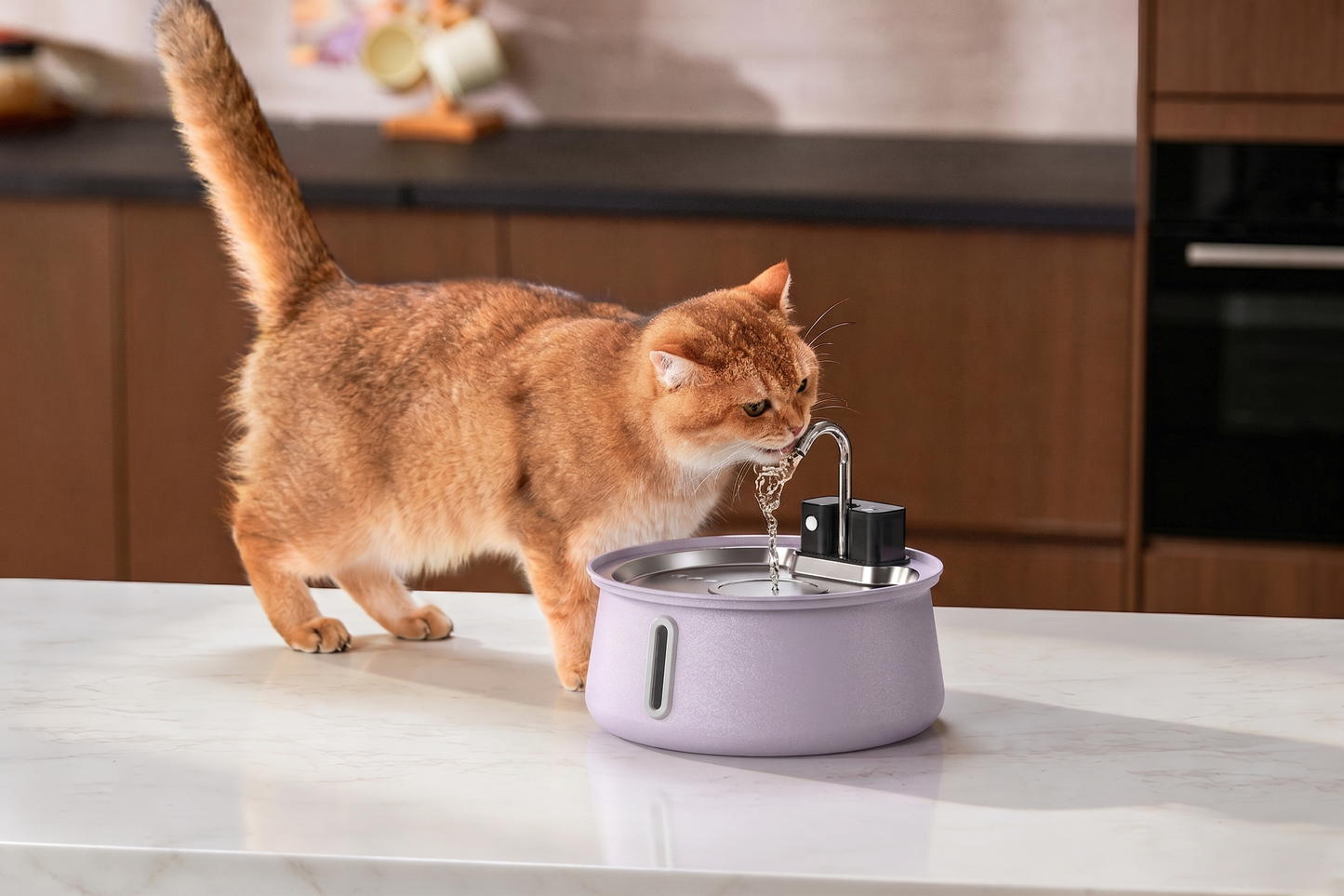 Infosys Limit™  - Wireless Fountain 2.0