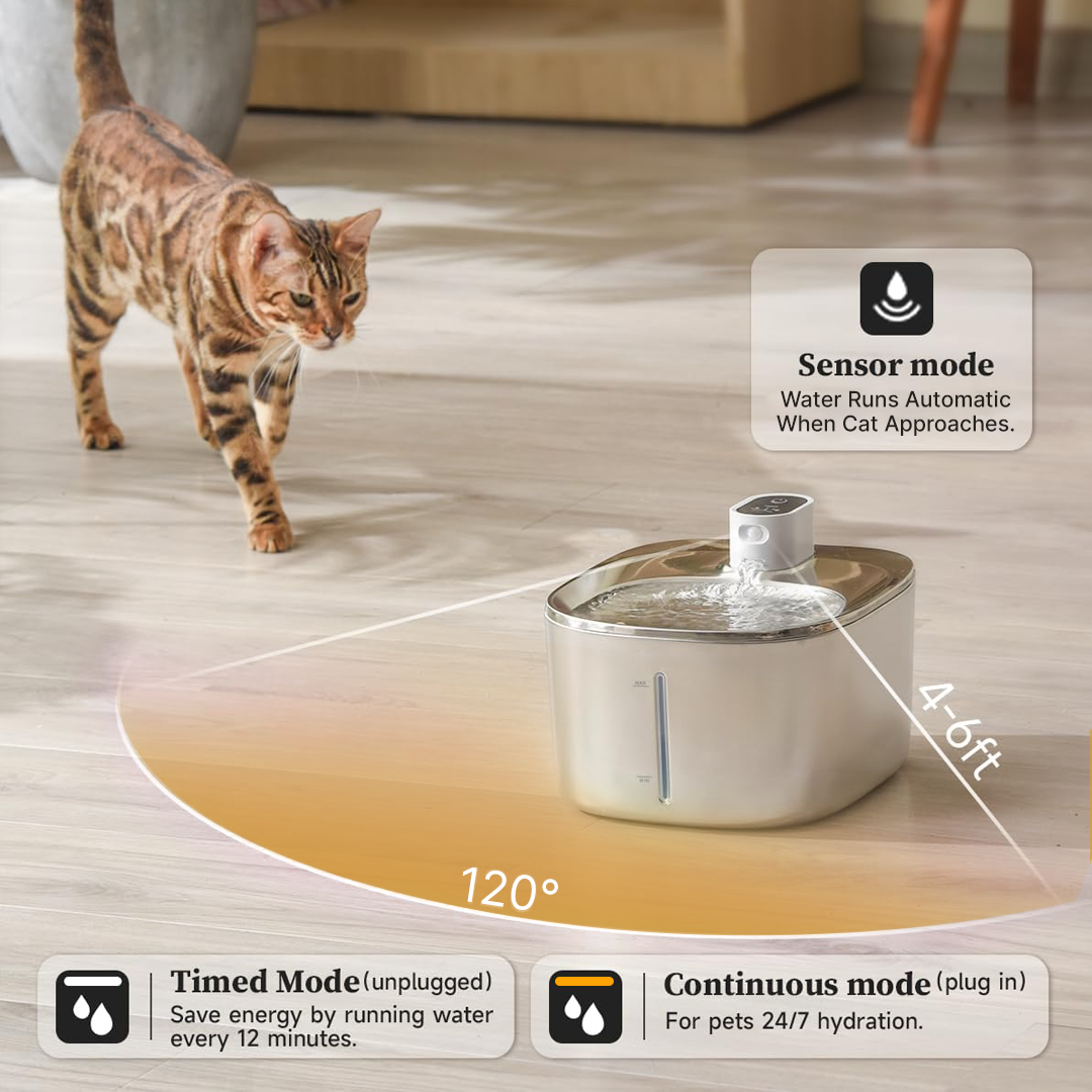 Infosys Limit™ - Wireless Fountain 2–month Kit
