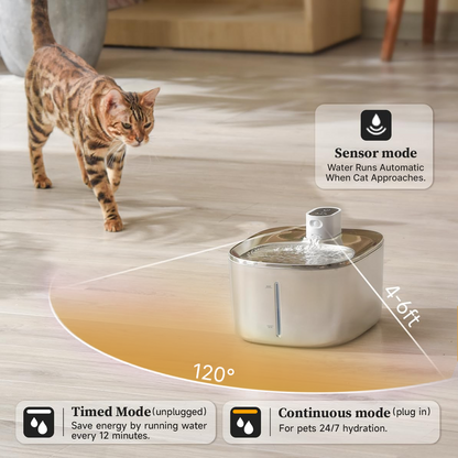 Infosys Limit™ - Wireless Fountain 2–month Kit