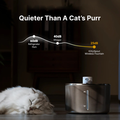 Infosys Limit™  - Wireless Fountain